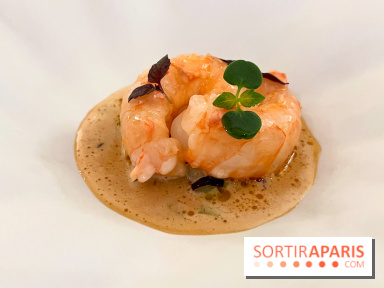Episodes - Langoustine, céleri, bergamote