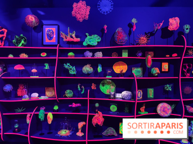 Digital Abysses au musée en Herbe - nos photos - 0129F15A 5778 46C1 BB45 E8B6ED6C3104