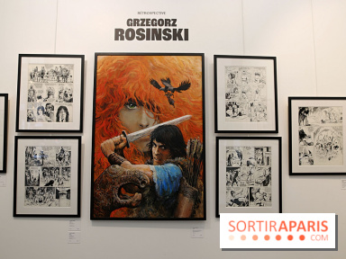 Rétrospective Grzegorz Rosinski, nos photos de l'expo gratuite à Paris - Expo Thorgal 16