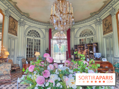 Château de Champs-sur-Marne, visuels