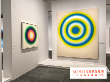 Dans le Flou, l'exposition dans le brouillard au Musée de l'Orangerie - IMG 5299