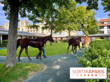 Jeuxdi by Longchamp - chevaux