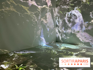 Topologie de l’Eau : Roches, Plantes et Vent