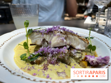 Hôtel le Charmant - nos photos - 591E21E8 E9A6 447C B6E5 2C9F2491E466