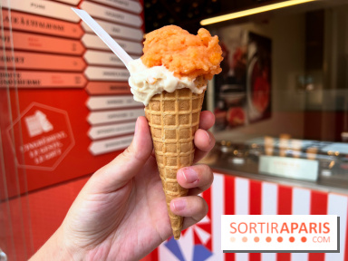 La Glace Alain Ducasse - Sorbet pamplemousse-vermouth, glace cacahuètes