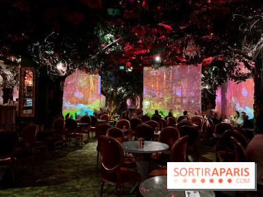 Wonderwoods - IMG 3818