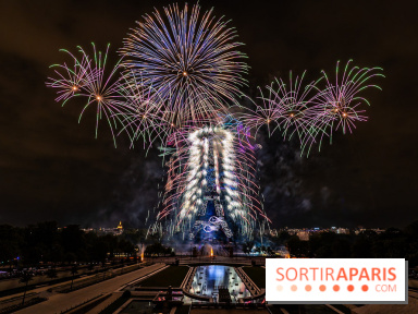 Le feu d’artifice du 14 juillet 2025 de Paris - les photos