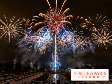 Le feu d’artifice du 14 juillet 2025 de Paris - les photos