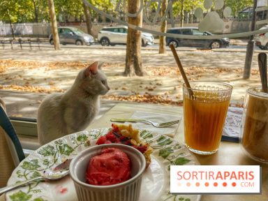 Chat-Rivari Café