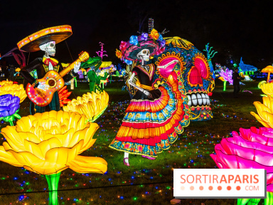 Thoiry Lumières Sauvages 2025 : le Bal des Esprits - A7C09519