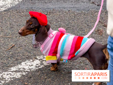 Paris Sausage Walk, la Marche des Teckels 2025