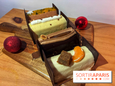 Bûches de Noël végétales de La Mauvaise Herbe - IMG 1590