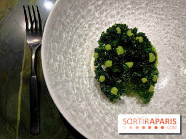 Mantra - Chou rave, kale, coco fermentée, crevettes