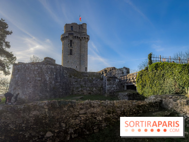 Ile-de-France : La Tour de Montlhéry au panorama unique sur l'Essonne
