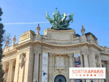 Insolite : assistez au montage en live d'une maquette LEGO du Grand Palais