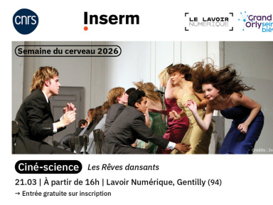 Ciné-science sur le film Les Rêves dansants : quand la danse rencontre les neurosciences