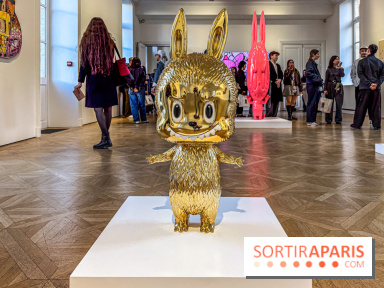 Exposition Labubu à Paris : THE MONSTERS fête ses 10 ans lors d’une rétrospective - IMG 4238