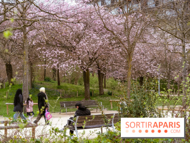 Les cerisiers du parc Martin Luther King - Clichy - Batignoles