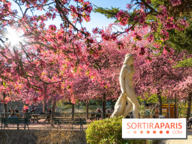 Les pommiers et cerisiers en fleurs du Jardin de Reuilly, Parc de Reuilly à Paris 12e - photos  - visuel