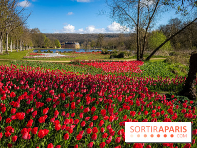 Les tulipes du Château de Dampierre, son jardin anglais et le jardin Le Nôtre