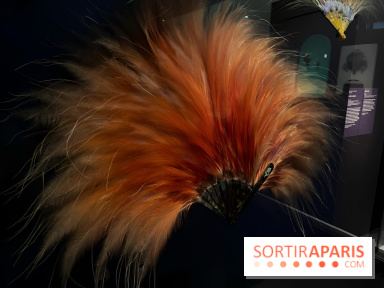 Plumes de Paradis, l'expo au musée du Quai Branly - nos photos