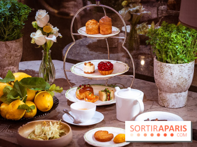 Tea time sensoriel de Matthieu Carlin à l'Hôtel de Crillon - les photos