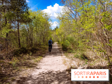 Liaisons douces à Fontainebleau : la forêt à vélo, les photos