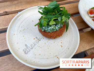 Ethanol - Croquettes de rillettes