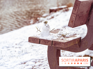 Neige et verglas en Île-de-France la semaine prochaine ? 