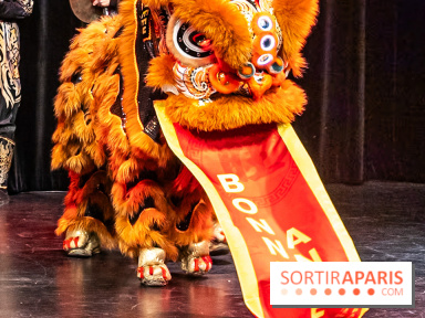 Nouvel an chinois - lunaire au Musée Cernuschi 2025 : un week-end d'animations gratuites