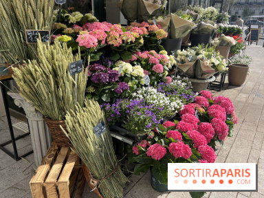 La Fête des Jardins de Sois-y en Essonne 2026