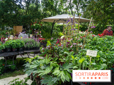 Seine-et-Marne : La Foire aux Plantes à Larchant 2026 : marché, troc et animations - 77