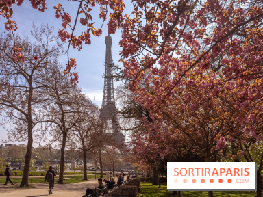 Les cerisiers du Trocadéro fleurissent avec de l'avance