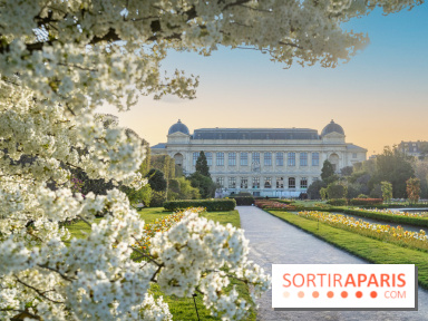 Quelle météo cette semaine à Paris du 30 mars au 6 avril 2026 ? 