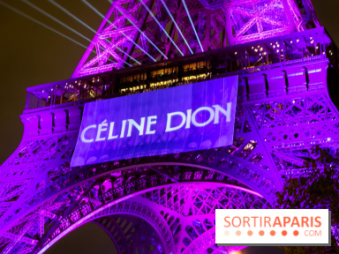Céline Dion en concert à Paris, pourquoi la jaune est réduite ? 