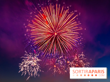 Après l'Essonne, les Yvelines, le Val d'Oise et la Seine-et-Marne interdisent les feux d'artifice