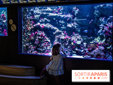 L'Aquarium Tropical de la Porte Dorée se renouvelle 