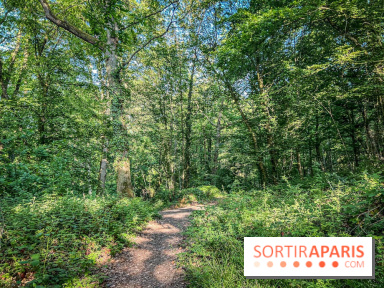Les Nuits des Forêts 2023 dans le Val-d'Oise (95) : Le programme