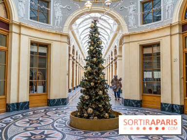11 spots photos de Noël canons à Paris 2023 pour profiter des illuminations magiques - galerie Vivienne