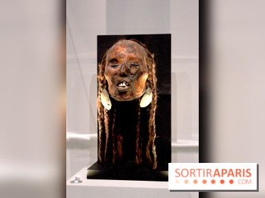 Carambolages au Grand Palais