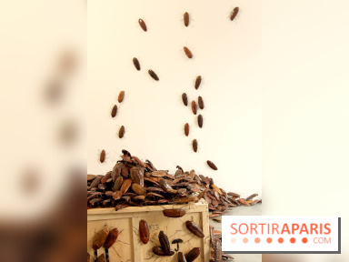 Céramix, l'exposition au Musée de la Céramique et à la Maison Rouge