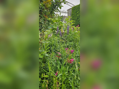 Jardin de Patrick et Roland