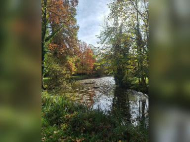 Découvrez le jardin privé d'un centre spirituel à Versailles pour les Rendez-Vous aux Jardins 2026