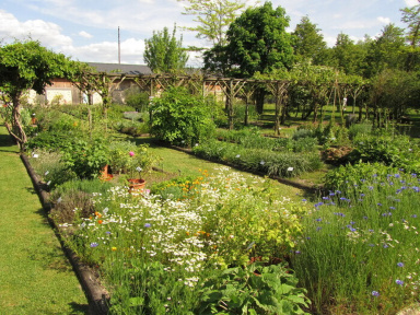 Explorez ce conservatoire botanique à l'occasion des Rendez-Vous aux Jardins 2026