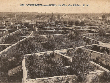 Connaissez-vous l'histoire des murs à pêches ? Voici pourquoi ce site est classé Jardin Remarquable