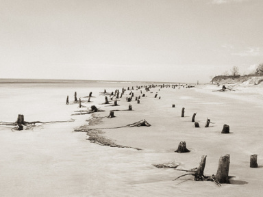 Corps littoral : l'exposition de Camille Guichard à la galerie Rachel Hardouin