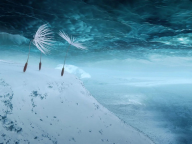 Planètes : le film d’animation de Momoko Seto arrive en mars 2026