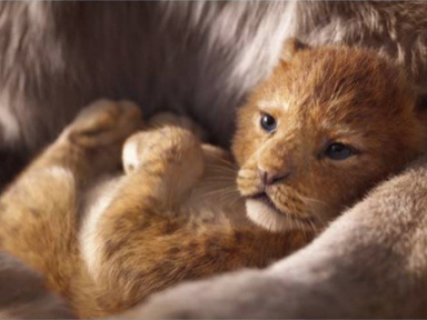 Le Roi Lion revient au cinéma en 2019 : découvrez la bande-annonce