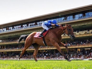 Qatar Arc Trials à l'Hippodrome Paris Longchamp 
