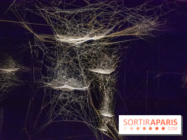 Base de données LaurentP